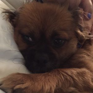 Meet your Posher, Edith